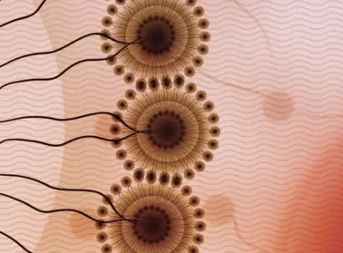 Meeting the Growing Need for Complex Injectable Product Development and Manufacturing