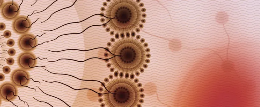 Meeting the Growing Need for Complex Injectable Product Development and Manufacturing
